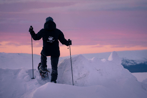 Winter Snowshoeing in the Finnish Wilderness