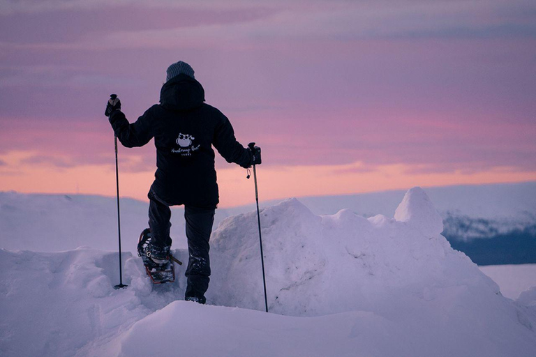 Winter Snowshoeing in the Finnish Wilderness