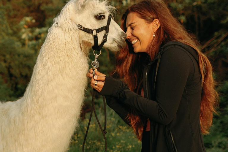 Maui: Sunset Llama Trek on Haleakala