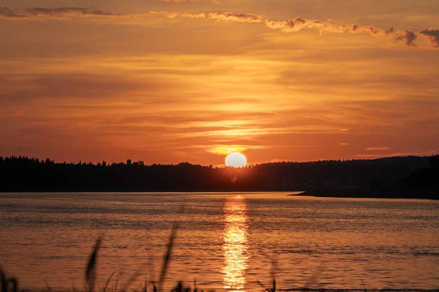 Swedish Lapland: Midnight Sun Photography Workshop