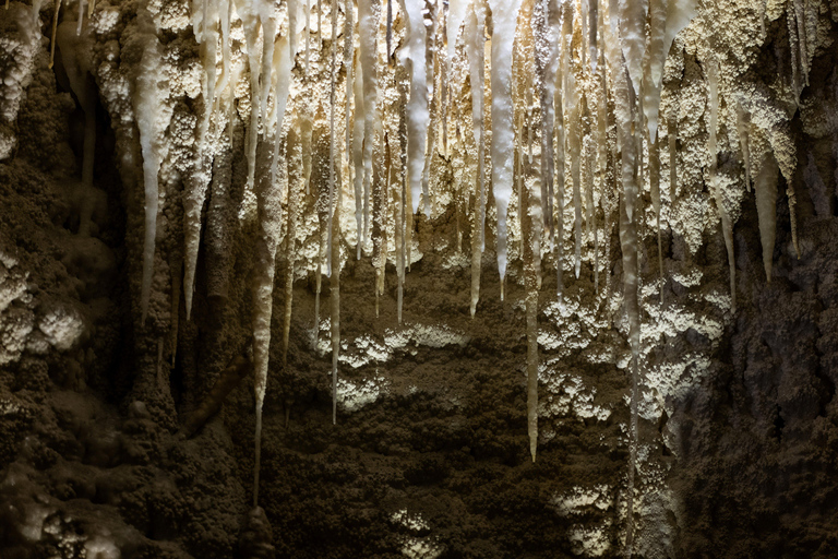 GROTTES DE RUAKURI ET JARDINS DE HAMILTON - Excursion d&#039;une journée au départ d&#039;AucklandGROTTES DE RUAKURI ET JARDINS HAMILTON - Excursion d&#039;une journée au départ d&#039;Auckland