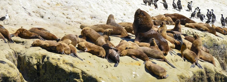 Excursion à Punta Loma avec visite de la ville
