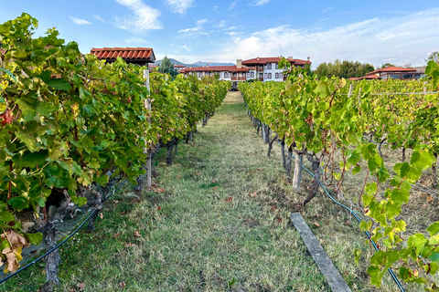 Sofia: Scenic Retro Train, Belmeken Lake & Wine/Thermal trip