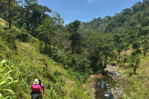 Moshi/Arusha: Chemka Hot Springs Materuni Waterfall Day tour 2 in 1 : Materuni & Chemka tour from Moshi