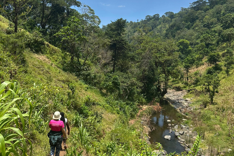 Moshi/Arusha: Chemka Hot Springs Materuni Waterfall Day tour 2 in 1 : Materuni & Chemka tour from Moshi