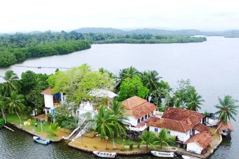 Colombo: Galle, Madu River Day Trip with Turtle Conservation