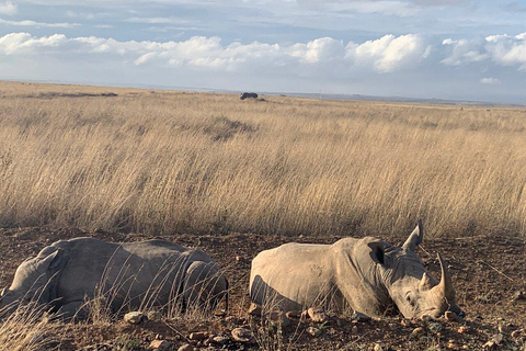 Nairobi National Park, Baby Elephant och Giraffe Center Tour