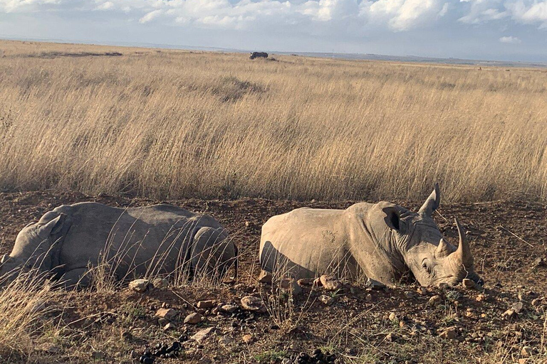 Nairobi Nationalpark, Baby Elefant und Giraffe Center Tour