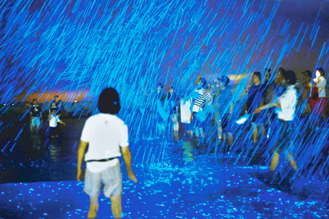 From Osaka: Awaji Island Magical Blue Sea Firefly Night Tour From Namba