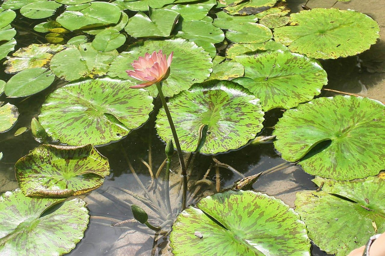 Turbaco: Experience the Botanical Garden