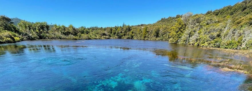 Nelson : excursion d'une journée à Golden Bay