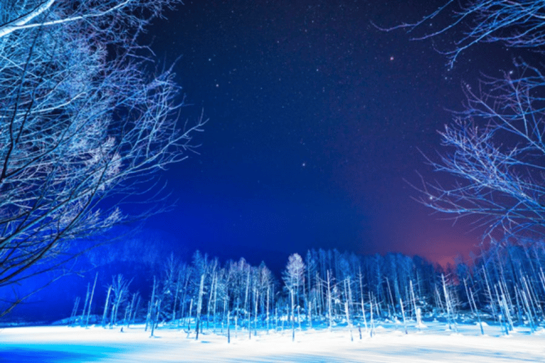 Asahiyama Zoo & Biei Blue Pond Day Trip in Hokkaido