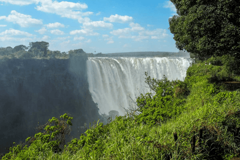 Tour guiado por las cataratas