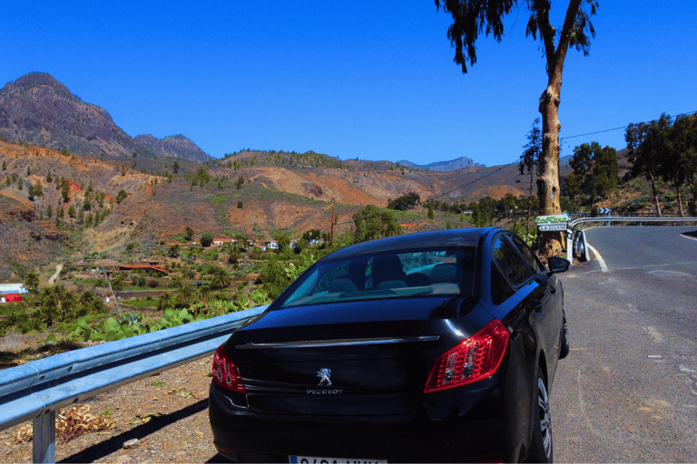 Grande Canarie : vidéo VIP PRIVÉE en drone 4K du nord de l'îleGrande Canarie : visite vidéo VIP privée en drone 4K