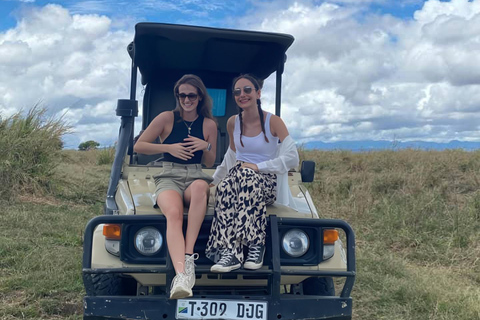 From Zanzibar: Mikumi National Park Fly-In Safari with Lunch