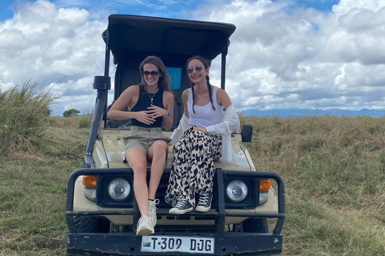 From Zanzibar: Mikumi National Park Fly-In Safari with Lunch