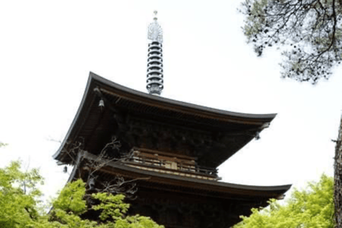 From Tokyo: Nagano Private Day Trip with Zenko-ji Temple