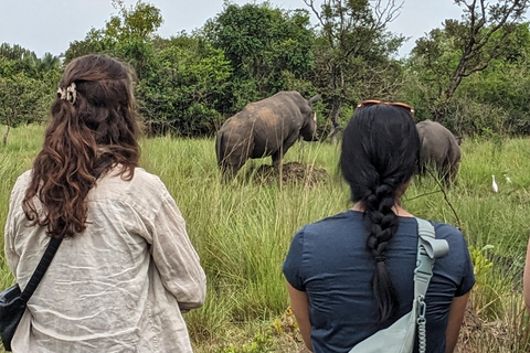 Murchison Falls 2-Day Safari with Boat Cruise