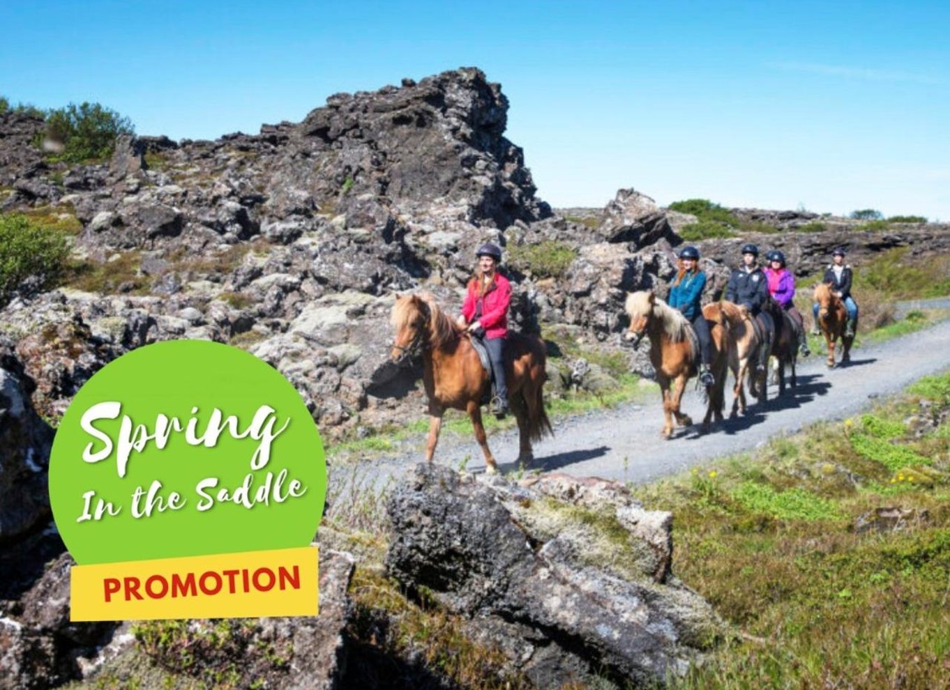 Ridetur på islandsk hest og afhentning fra Reykjavik