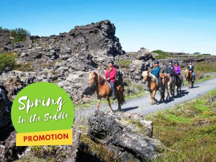 Balade à cheval avec prise en charge à Reykjavik