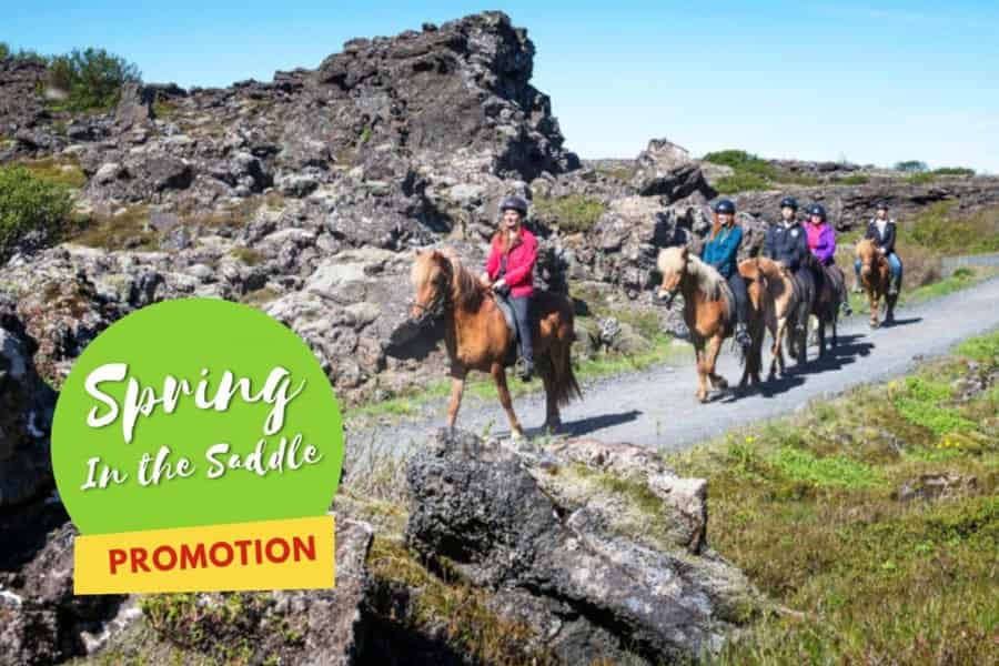 Islandpferd-Reittour & Abholung ab Reykjavík. Foto: GetYourGuide