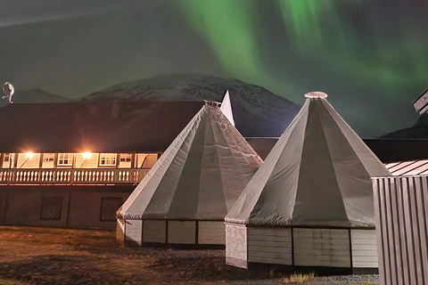 Tromsø: Sami-Kultur &amp; Joik-Erlebnis mit Mittagessen