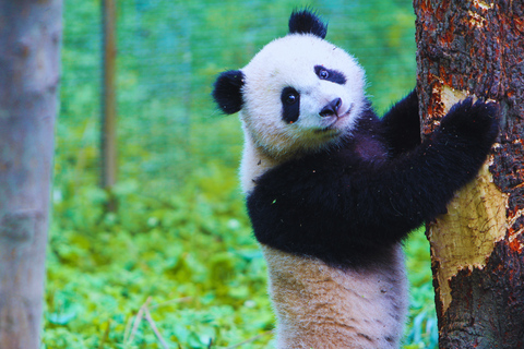 Beijing: Summer Palace Guided Tours & Top Park Combos Private Summer Palace & Old Summer Palace Park Walk Tour