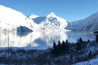 Anchorage, Alaska Wildlife Center et Tour de Turnagain Arm - Hizvo