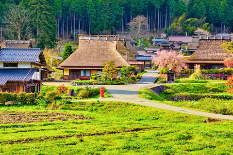 Całodniowa wycieczka po Kioto: wioska Miyama, Amanohashidate i zatoka Ine