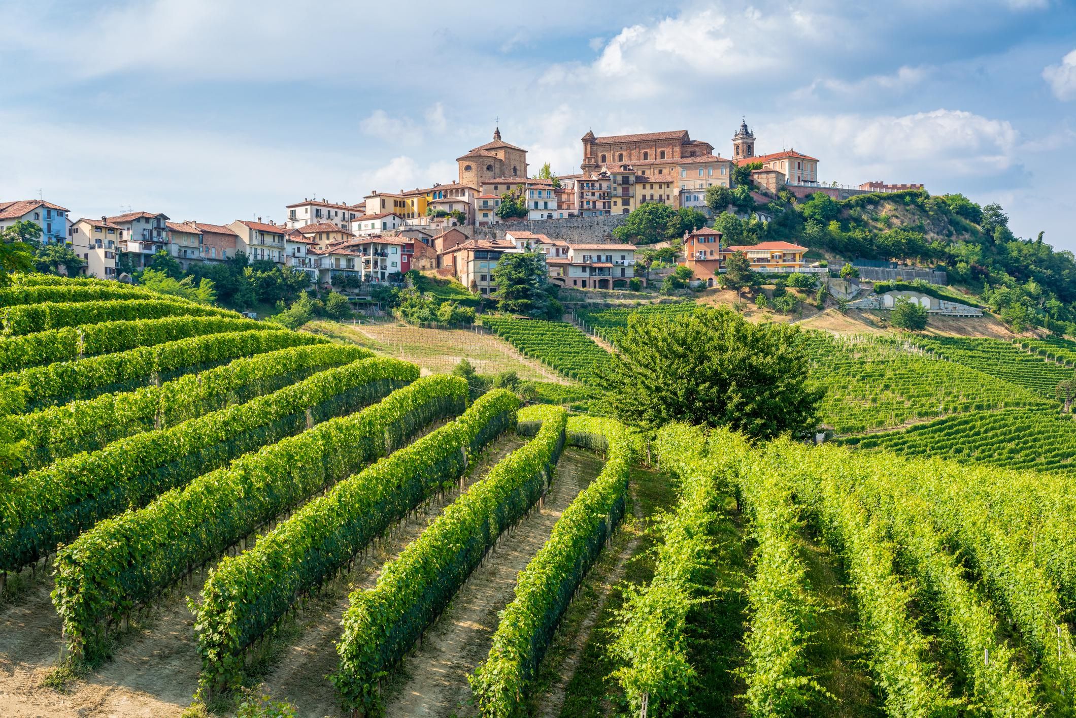 Entdecke das Herz von Alba und der Barolo-Region