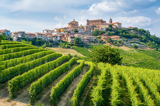 Barolo image