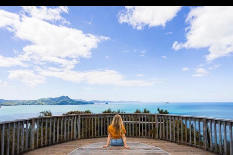 Auckland: Hidden Gem Coromandel& Cathedral Cove Private Day