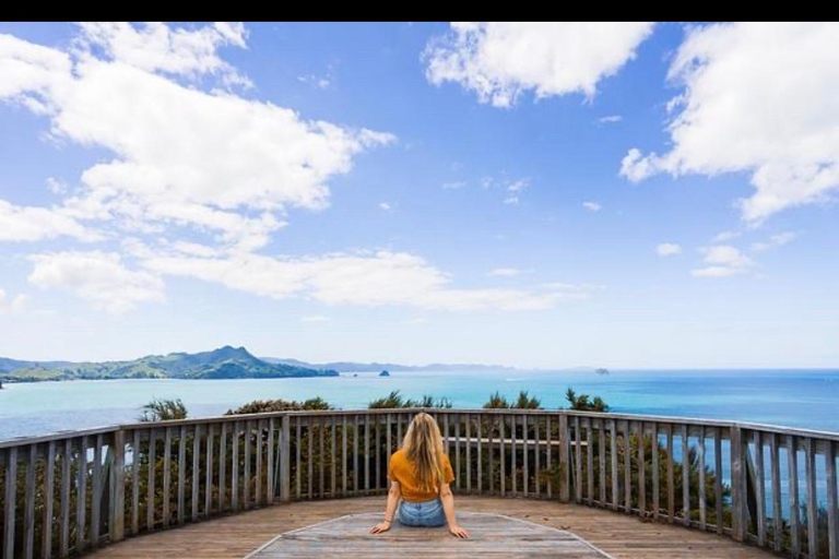 Auckland: Hidden Gem Coromandel& Cathedral Cove Private Day