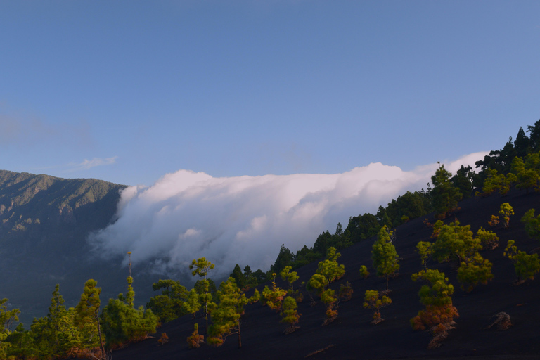 Nuevo Volcán linear route: an exterior and interior view of the volcanoes New Volcano linear route: an exterior and interior view of the volcanoes