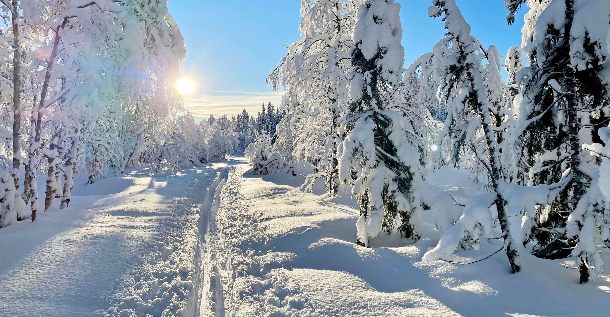 奥斯陆奥斯陆,奥斯陆马马克森林向雪鞋游 - Hizvo
