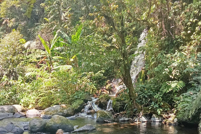 From Jakarta: 2-Day Bogor: Java Gibbon and Sunrise Tour