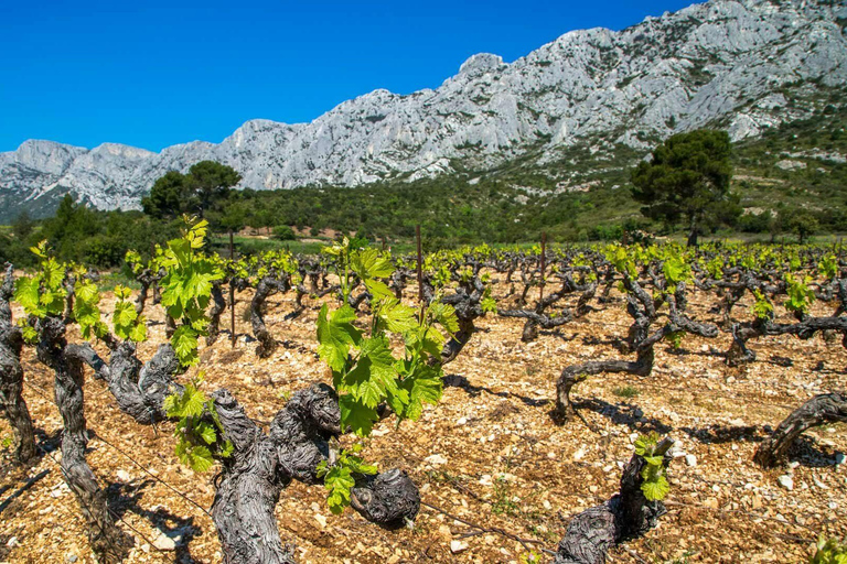 Full-Day Excursion: Aix, Wine Tastings & Cassis Coves Full-Day Excursion: Aix-en-Provence, Wine Tastings & Cassis Coves