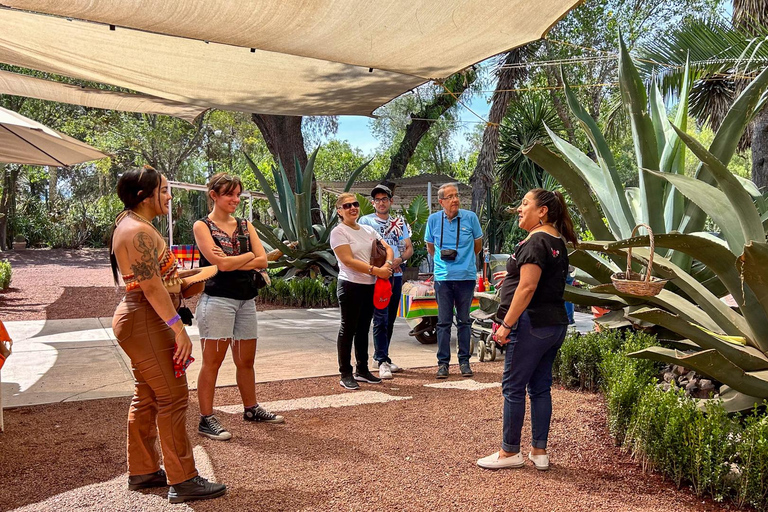 Mexico Stad: Teotihuacan, Tlatelolco &amp; Basiliek van Guadalupe