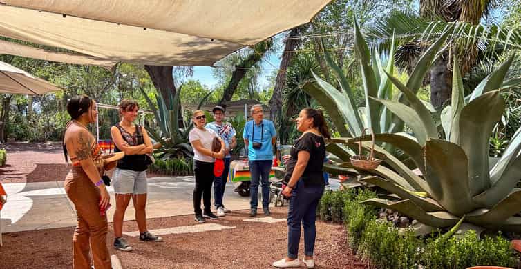 Mexico City: Teotihuacan, Tlatelolco & Basilica of Guadalupe photo 2