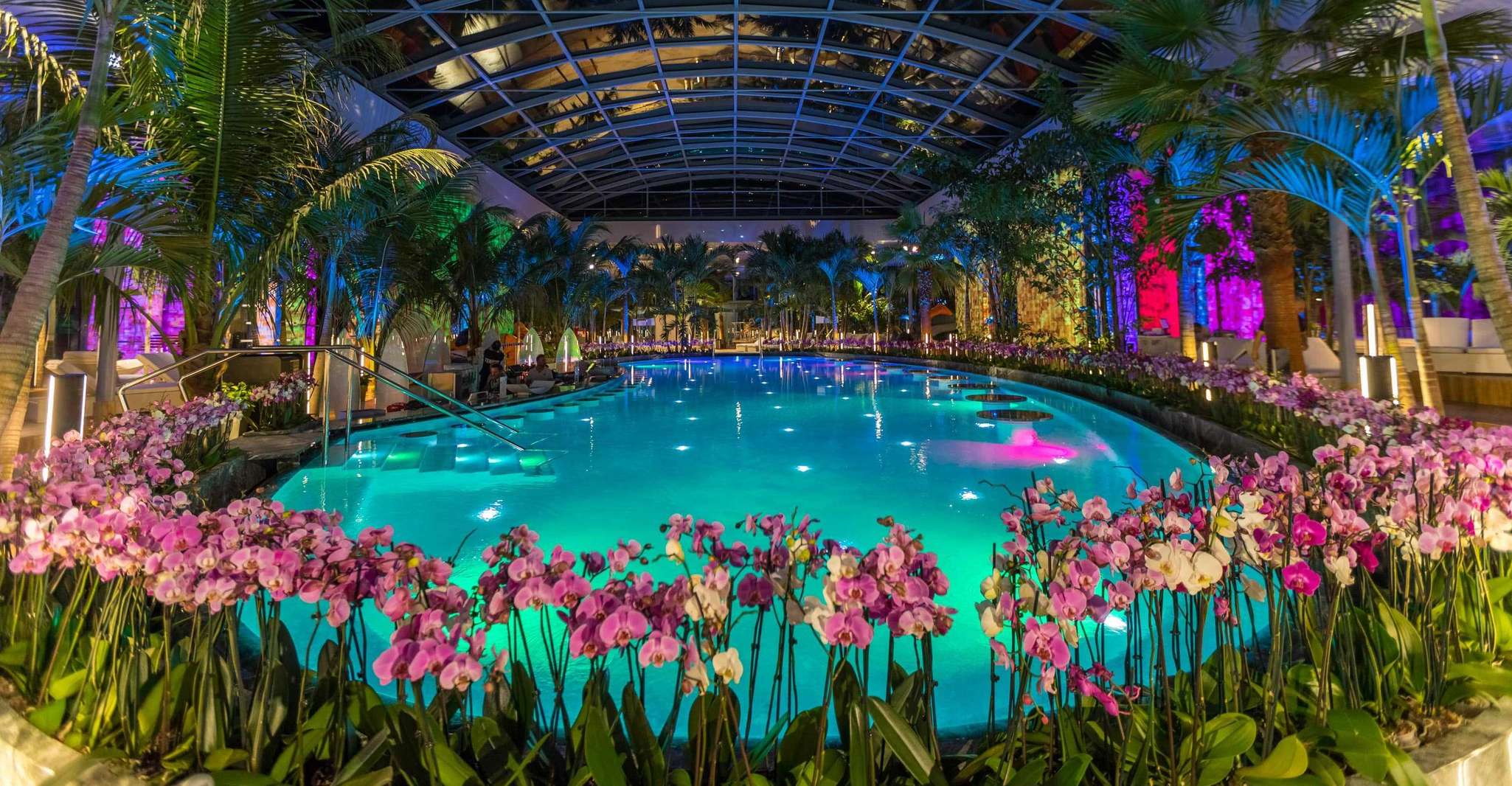 Bucuresti: Therme Bucharest Evening Entry Ticket & Transfer photo 7