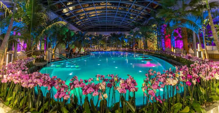 Bucuresti: Therme Bucharest Evening Entry Ticket & Transfer photo 7