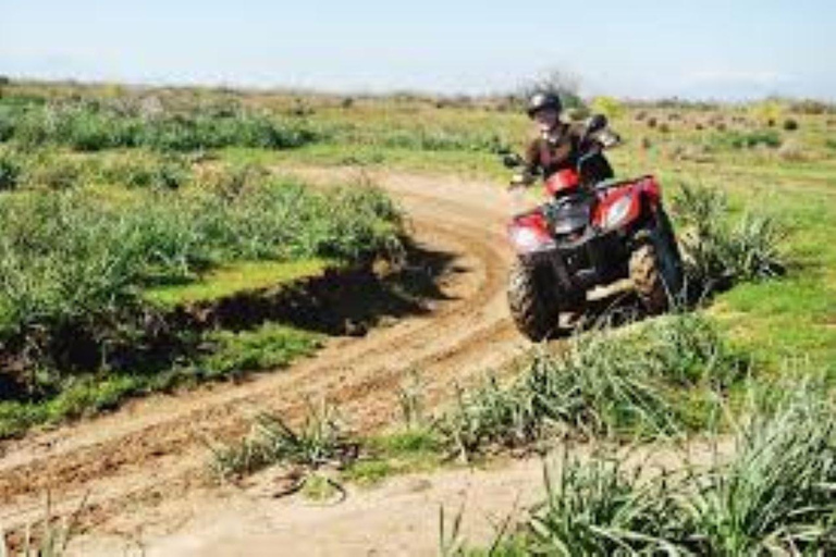Kusadasi Atv ( Quad ) Safari