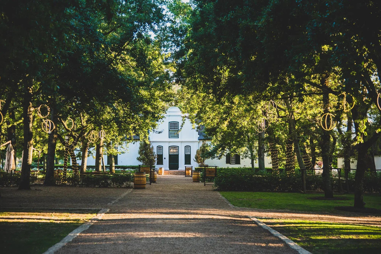From Cape Town: Stellenbosch Wine Estates Tour with Tastings