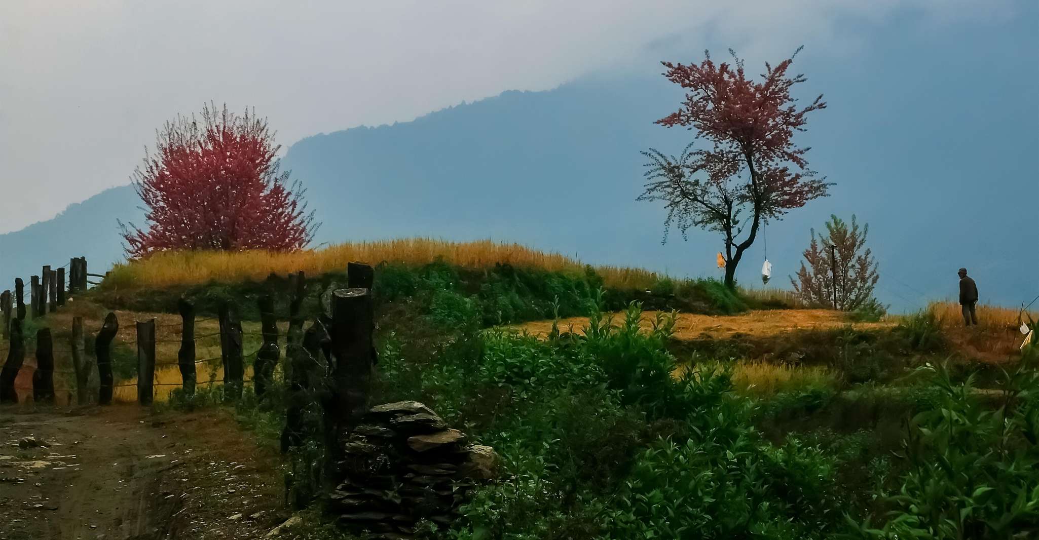 每天徒步前往Dhampush村 - Hizvo