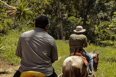 San Juan La Laguna: Horseback Riding in Coffee Plantations
