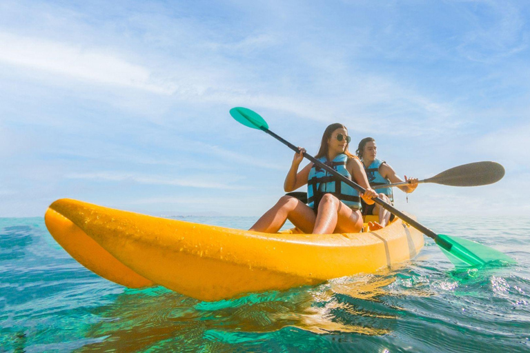 Cancun: Royal Garrafon Park Entry & Dolphin Encounter
