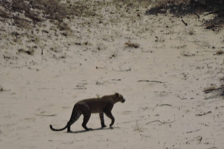 Yala/Mirissa: All Inclusive Full-Day Safari at Yala Park Mirissa/Weligama: All Inclusive Full-Day Safari at Yala Park