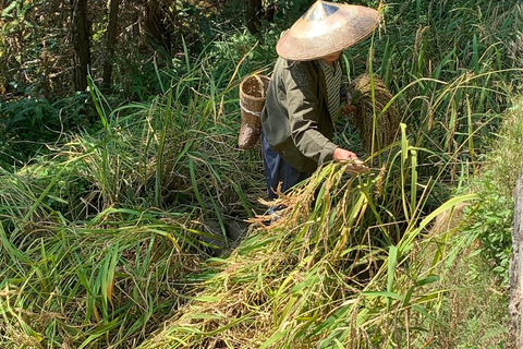 Guilin: Longji Rice Terraces & Minority Villages 2-Day Tour Guilin: Longji Rice Terraces & Minority Villages 2-Day Tour