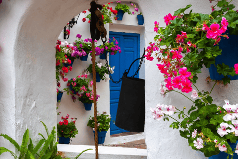 Cordoue : visite privée exclusive des patios de Cordoue