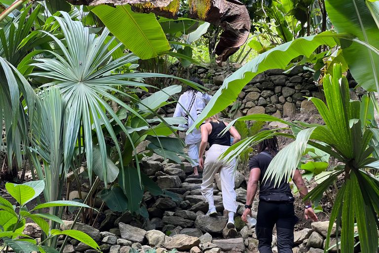 Parco Tayrona 2 giorni e 1 notte. Un percorso ancestrale.